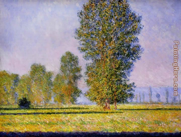 Meadow at Limetz